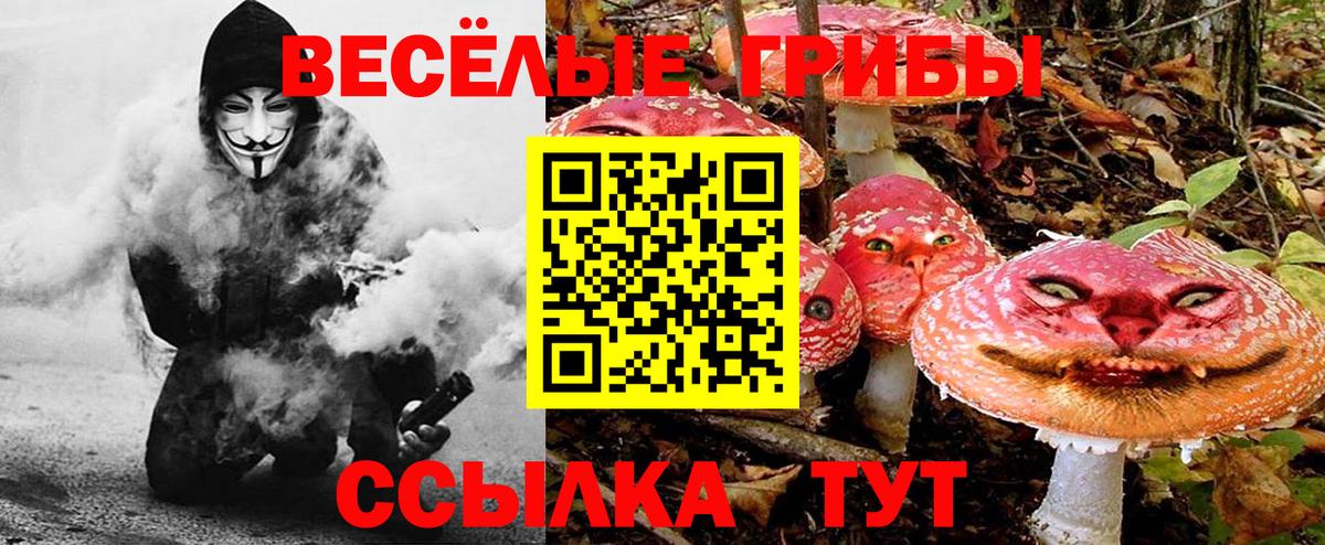 купить наркоту  Псилоцибиновые грибы Psilocybine cubensis  Вход с VPN  Наро-Фоминск 