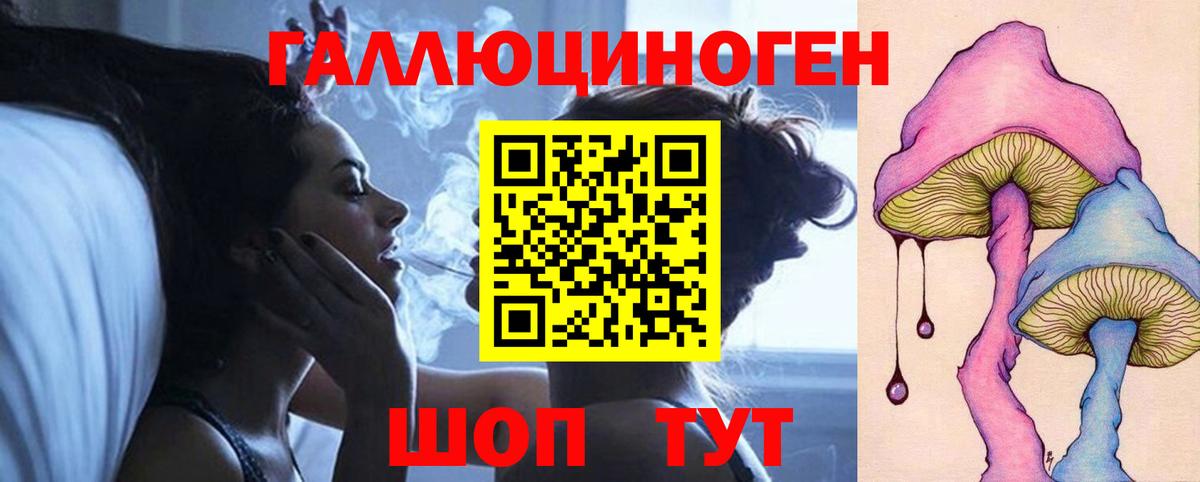 Галлюциногенные грибы Psilocybe Наро-Фоминск